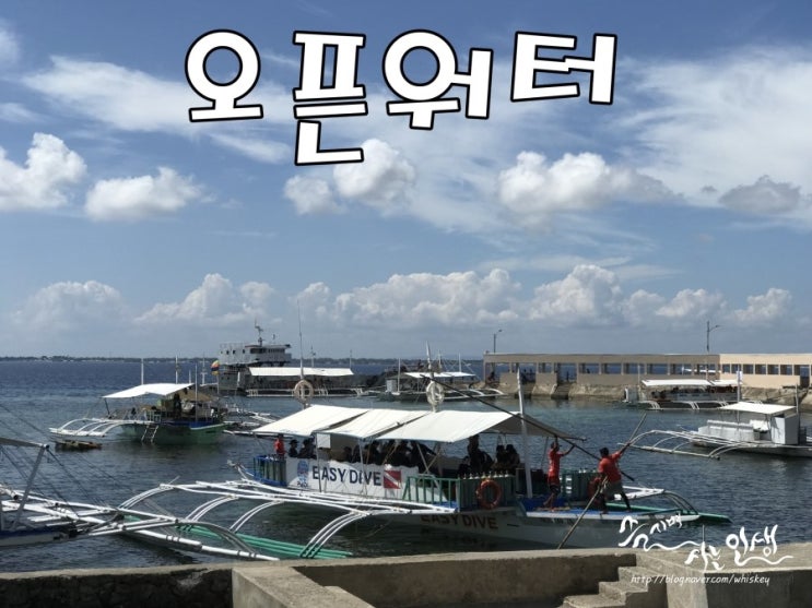  [세부 이지다이브] 오픈워터 자격증 따기 1일차