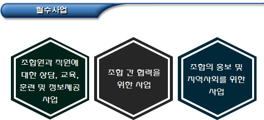 사회적협동조합 설립 시 필수사업 등 사회적협동조합 설립 시 필수사업 등