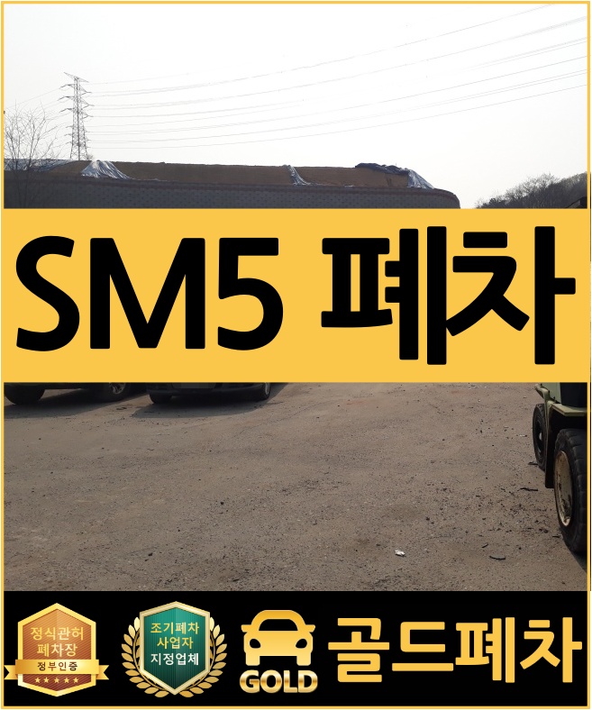  SM5 폐차 정말 꼼꼼히 말소해줘요!