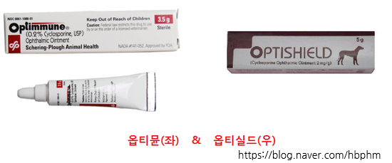 강아지 안구건조증, 결막염 치료제 옵티뮨보다 훨씬 저렴한 옵티실드 파는 약국 평택, 오산, 안성 동물약국