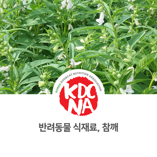  [강아지 고양이 영양 정보] 반려동물 펫푸드 식재료 참깨 알아보기_98