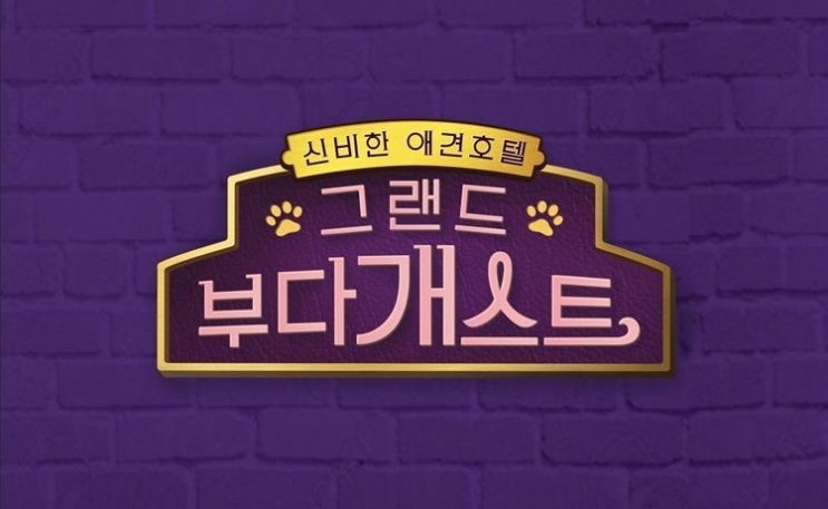  그랜드 부다개스트에서 볼 수 있는 다양한 애견용품!! 구매욕이 쏙쏙 미밍코 강아지 용품