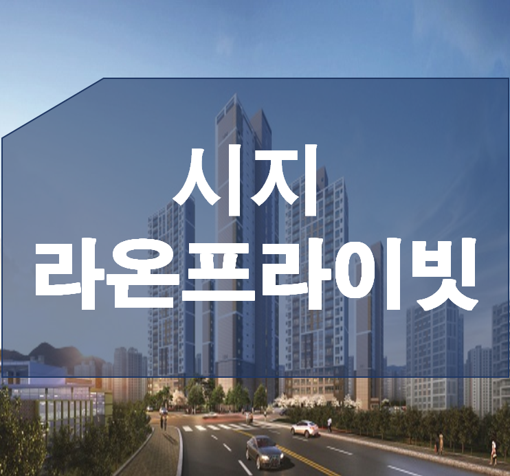  시지 라온프라이빗 소비자가 본 시선