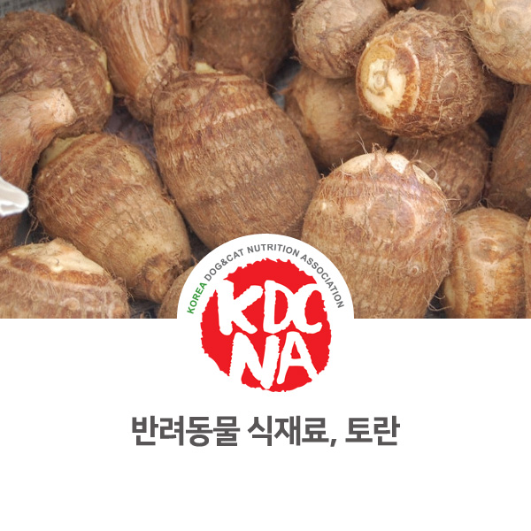  [강아지 고양이 영양 정보] 반려동물  토란 식재료 먹어도 되나요?_103