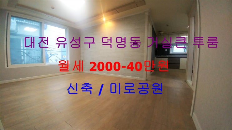  (대전 유성구 덕명동) 조용한 동네 미로공원 인근에 있는 구조 좋은 신축 저렴한 월세 투룸이에요  ~^^