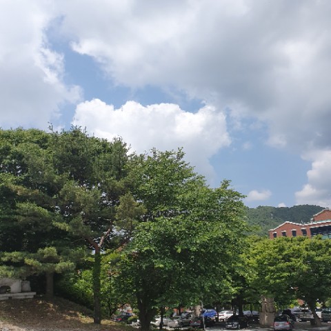  0608-0615 일상