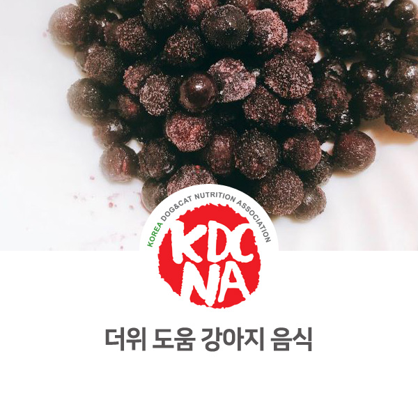  [강아지 고양이 영양 정보] 반려동물 더위에 도움이 되는 식재료 알아보기_99