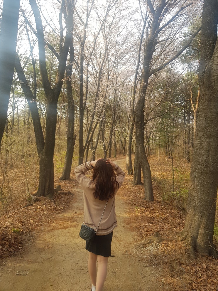  2019. 04. 14. 용인 데이트/보정동 카페거리/연안식당