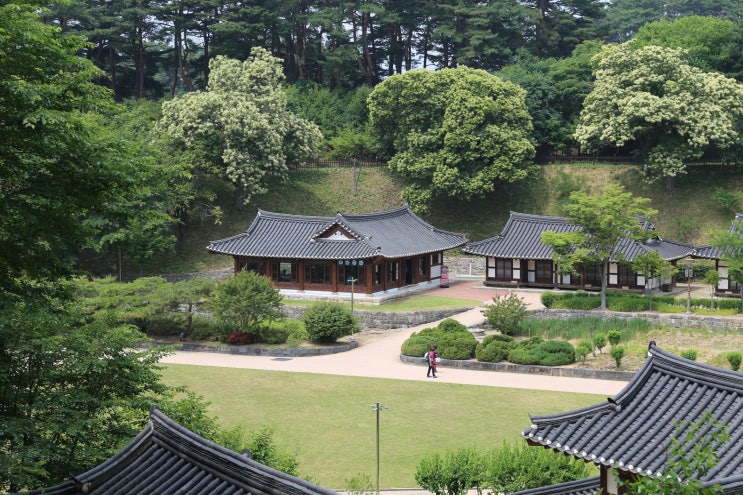  강릉 여행 300년 고택 멋을 느낄 수 있는 둘레길