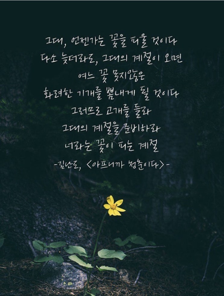  매일긍정확언