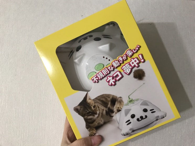  [자레토모MV] 혼자서도 잘 노는 움직이는고양이장난감 :) ️