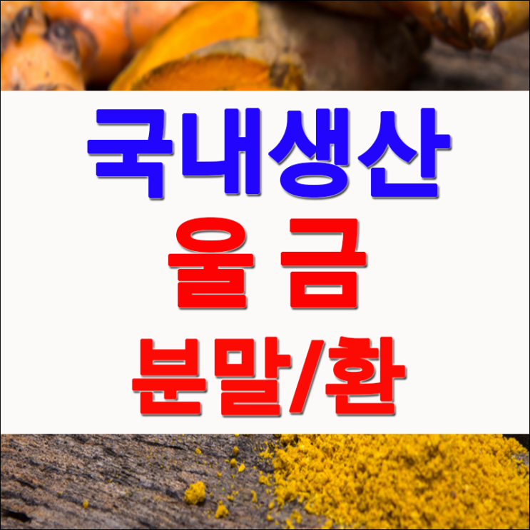  진도산 울금효능 및 먹는방법 (울금 가루 환 파는곳)