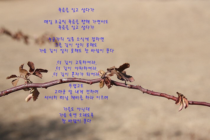  [이해인 시] "죽음을 잊고 살다가"--오늘이 마지막인것처럼, Be Foolish and Stay Hungry