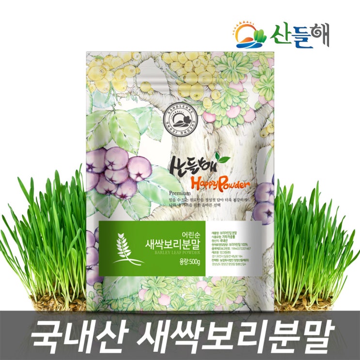 산들해 국산 어린순 새싹보리 분말가루 새싹보리100%, 500g, 1개 할인정보 공유해요