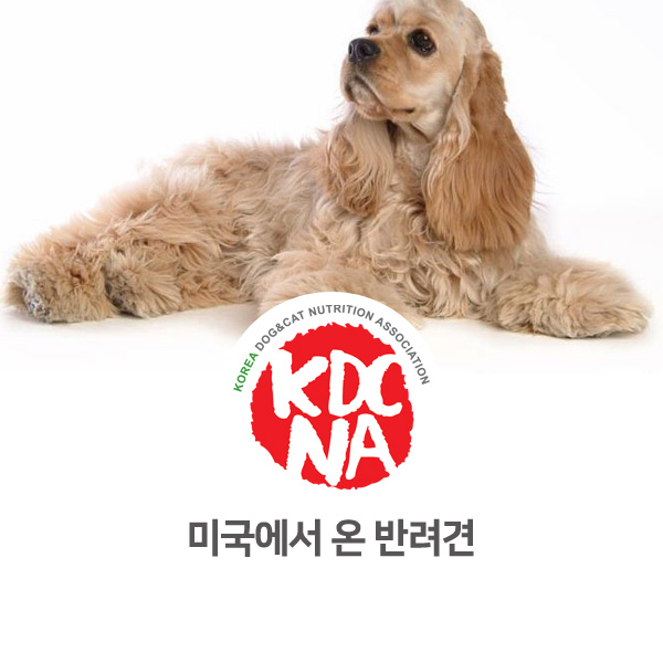  [반려동물 정보 뉴스] 미국에서 온 강아지 종류 알아보기_23