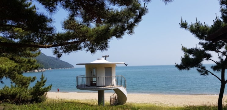  덕적도 기행