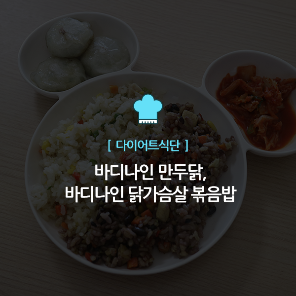  다이어트 식단, 바디나인 닭가슴살 볶음밥 & 만두닭
