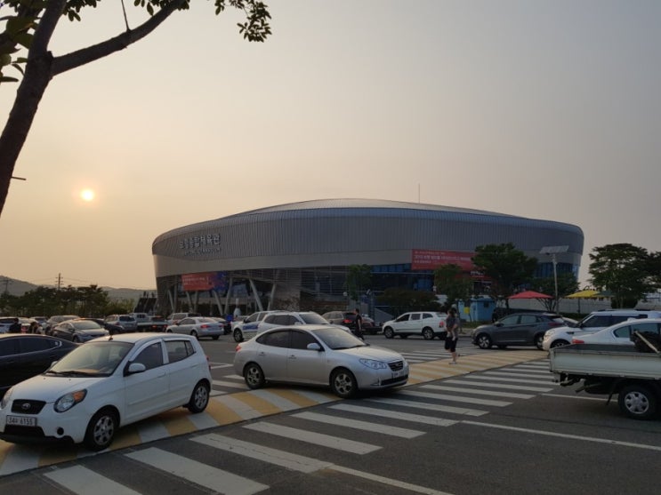  2019 VNL 여자배구 한국 vs 일본 관람후기 (20190619 충남보령체육관) 김연경 출전 경기