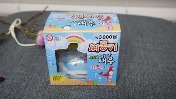  씨몽키키우기&브라인쉬림프 7일차 (다이소 구매)