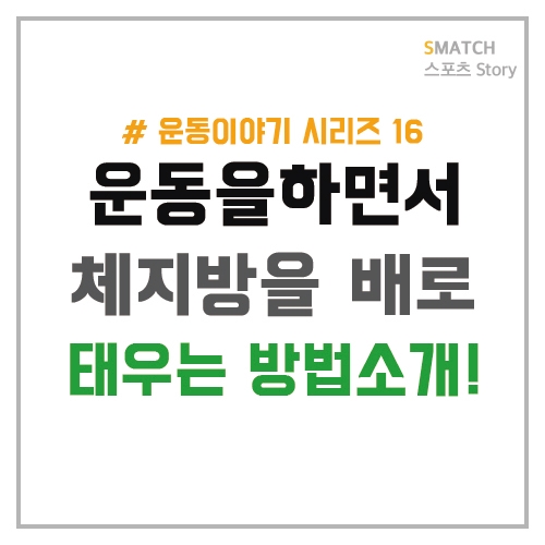  태우자 체지방! 체지방 태우는 방법!