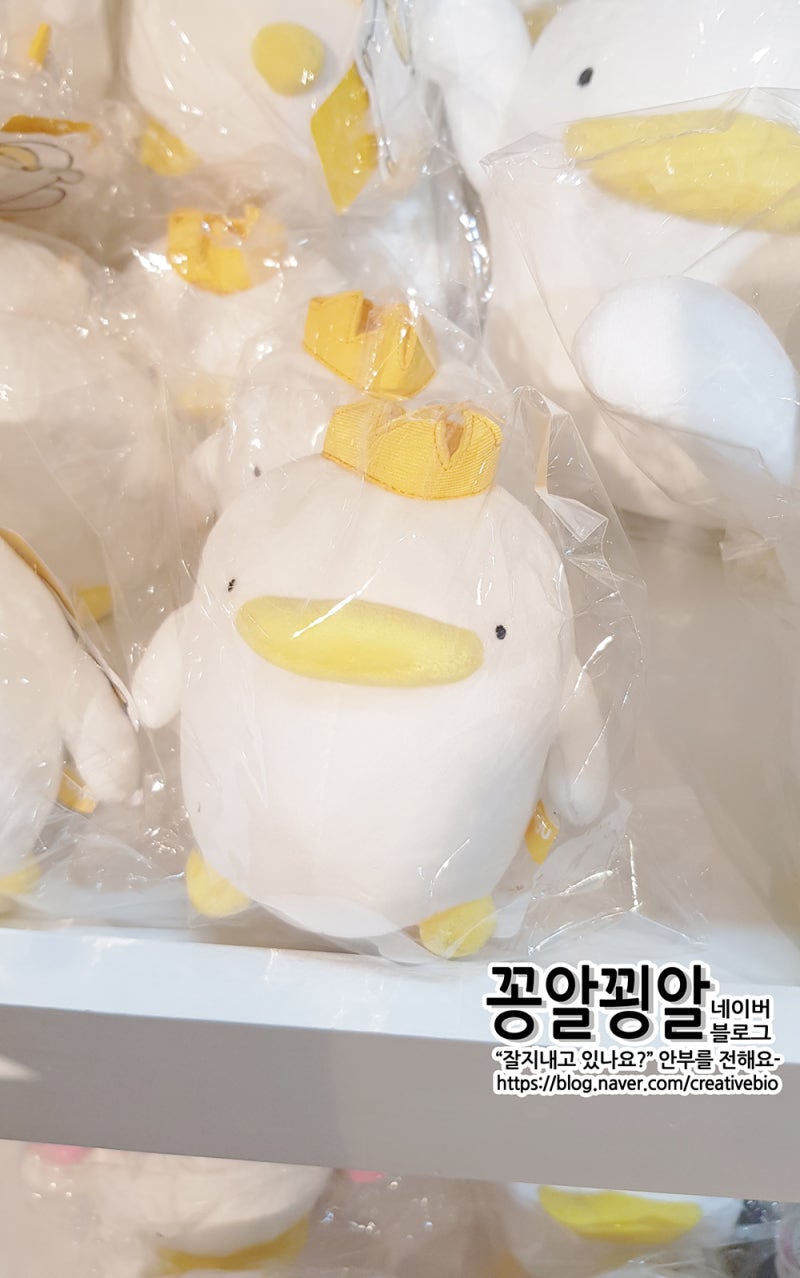신촌 오구(OGU)팝업스토어 / 오구 / 카카오이모티콘 / 오구인형 / 오구키링 / 귀여운 오리너구리캐릭터 : 네이버 블로그