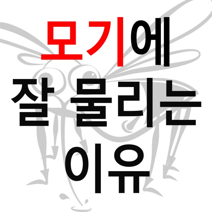  모기에 잘 물리는 이유? 모기가 잘 무는 사람 그 이유를 알아보자!