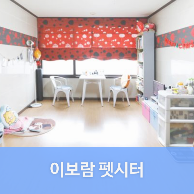  광주시 삼동 펫시터 이보람님을 소개합니다. | 삼동 애견호텔, 애견유치원, 강아지유치원, 강아지호텔 찾는다면 펫플래닛