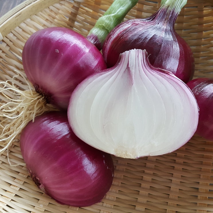 올해 햇 자색 양파 10kg 20kg 가격 알려드립니다!