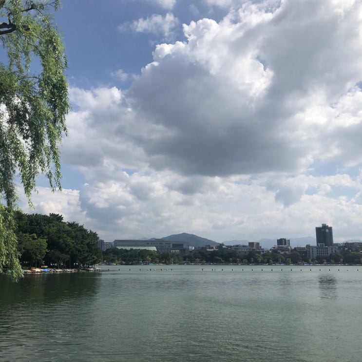  일본_후쿠오카 가볼만한곳 자유여행코스2 하카타역텐진호르몬.오호리공원.스타벅스.후쿠오카타워