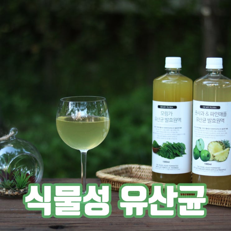  프롤린 유산균 추천 및 왜 좋은지를 알려드립니다