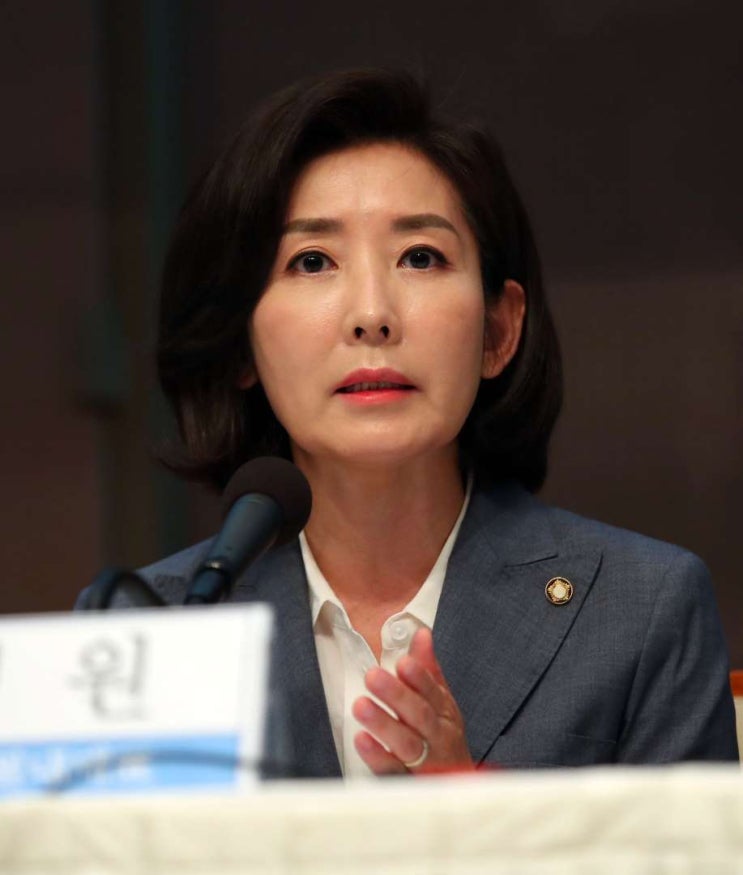  나경원, 달창을 달빛창문으로 알았다.