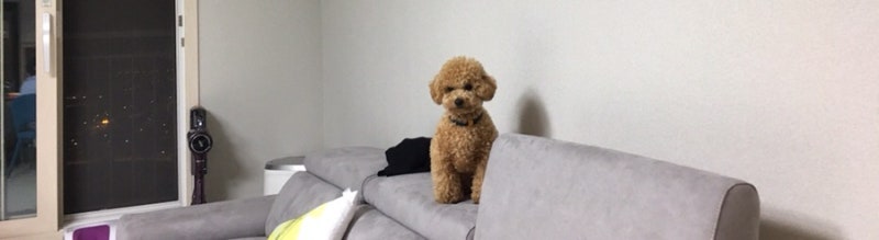 사진 5