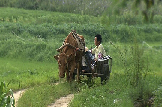  '워낭소리' 할머니, 그리운 할아버지와 소 곁으로..18일 별세