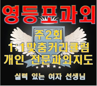  영등포 동기부여 영어과외 양평동 여의도 수학과외