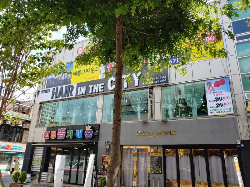 부천역 미용실 머리 잘하는 부천 미용실 찾는다면 나무헤어