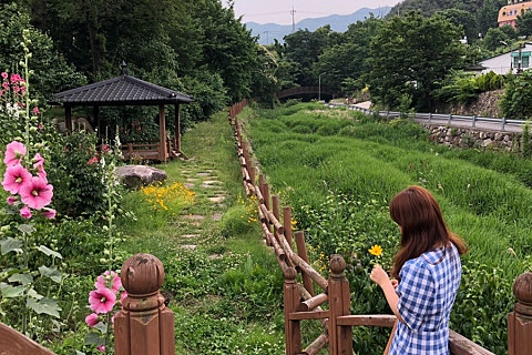 스마일드라이브 이미지