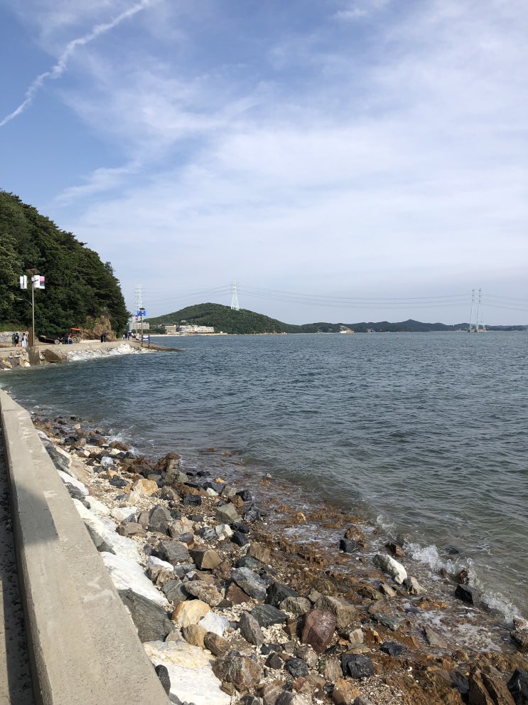  시원한 산책길