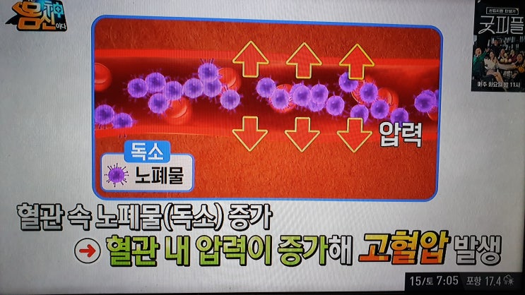  몸신 피해독 쑥 청혈차