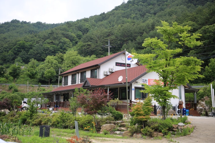  인제가볼만한곳, 자작나무숲 맛집, 자작자작식당 한방오리능이백숙