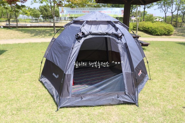  원터치텐트 오토6 와이드익스텐션 자동이라 편해~