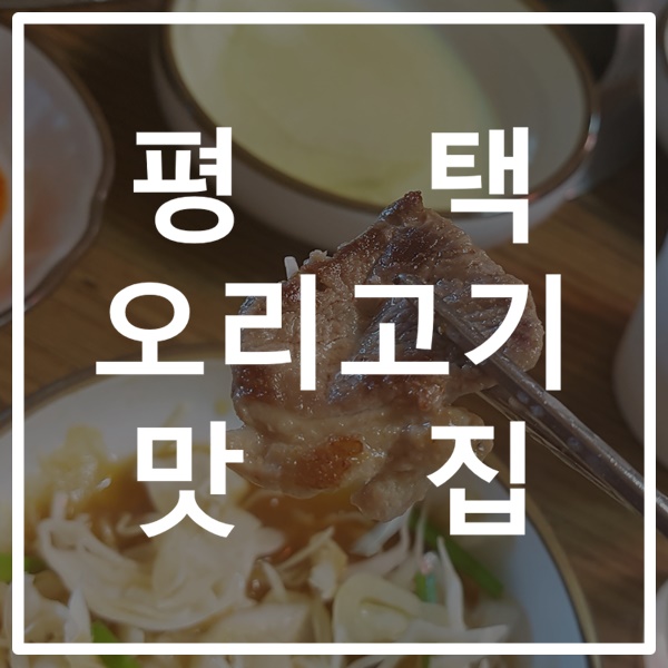  평택 팽성 오리고기 맛집, 코스요리 전문점 바람난오리