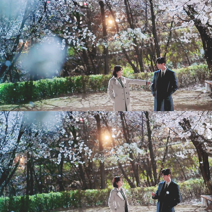  바람의 향기는 꽃잎에 날리면서
