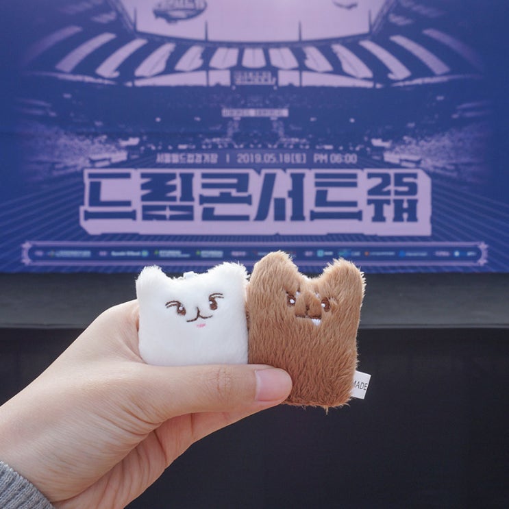  2019 드림콘서트 후기 ( AB6IX 박우진 , 하성운 )