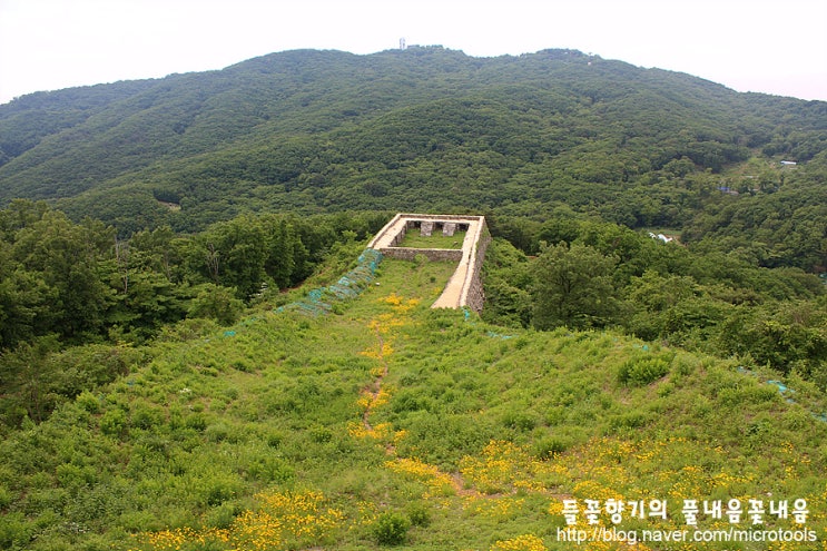 이성산성~남한산성~객산 종주산행 / 명품 숲길