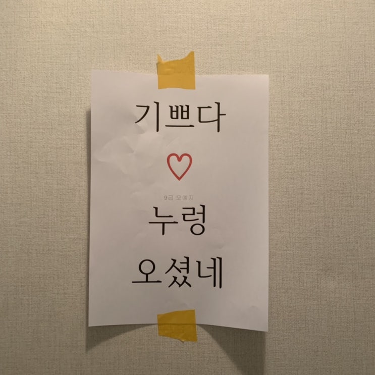  [아지 일상] 190618-190619