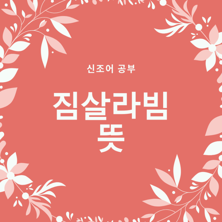  짐살라빔(Zimzalabim) 뜻 레드벨벳 신곡