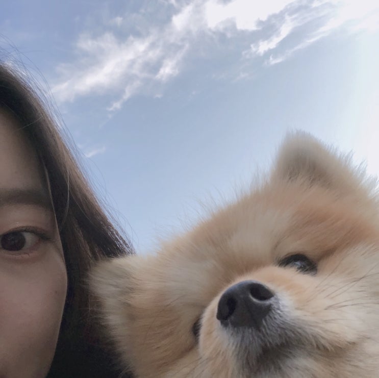  먹먹먹