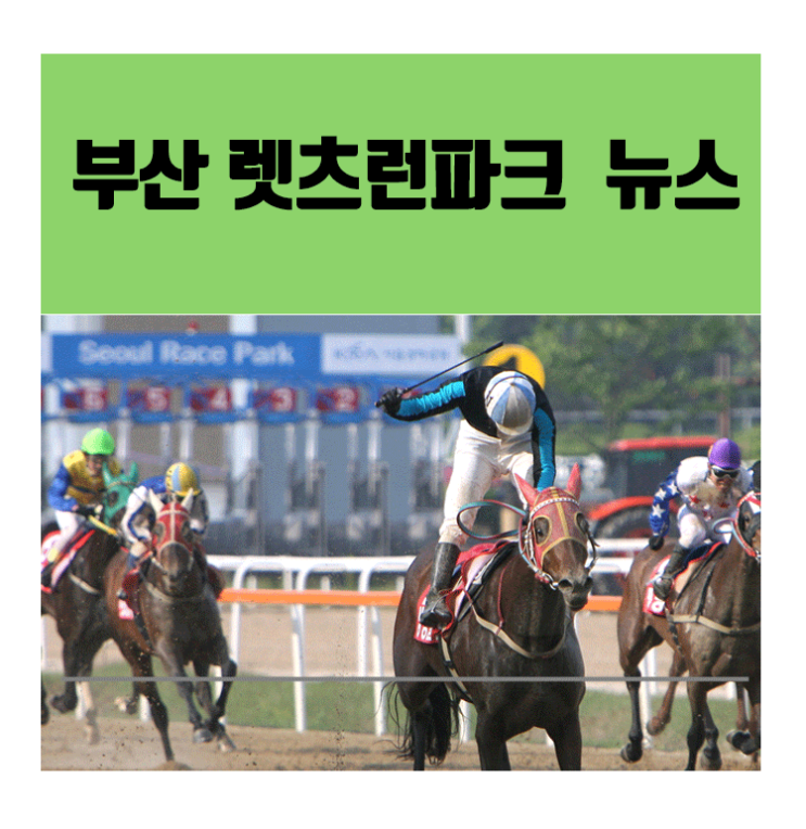  렛츠런파크 부산경남...7월부터 금요일 야간경마 시행