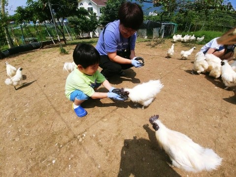  배누리교육농장 다녀왔어요 !!