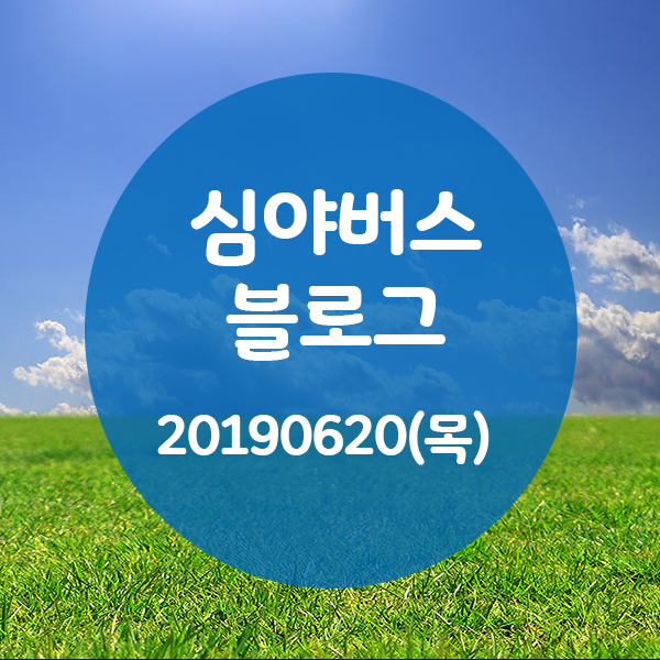  투데이 20190620 (2352) 비교TV - 바다생존법 장소 / 골목 빵집 - 커러 베이글 / 맛의 승부사 - 통갑오징어볶음 / 소문의 맛집 - 가마솥 장작구이